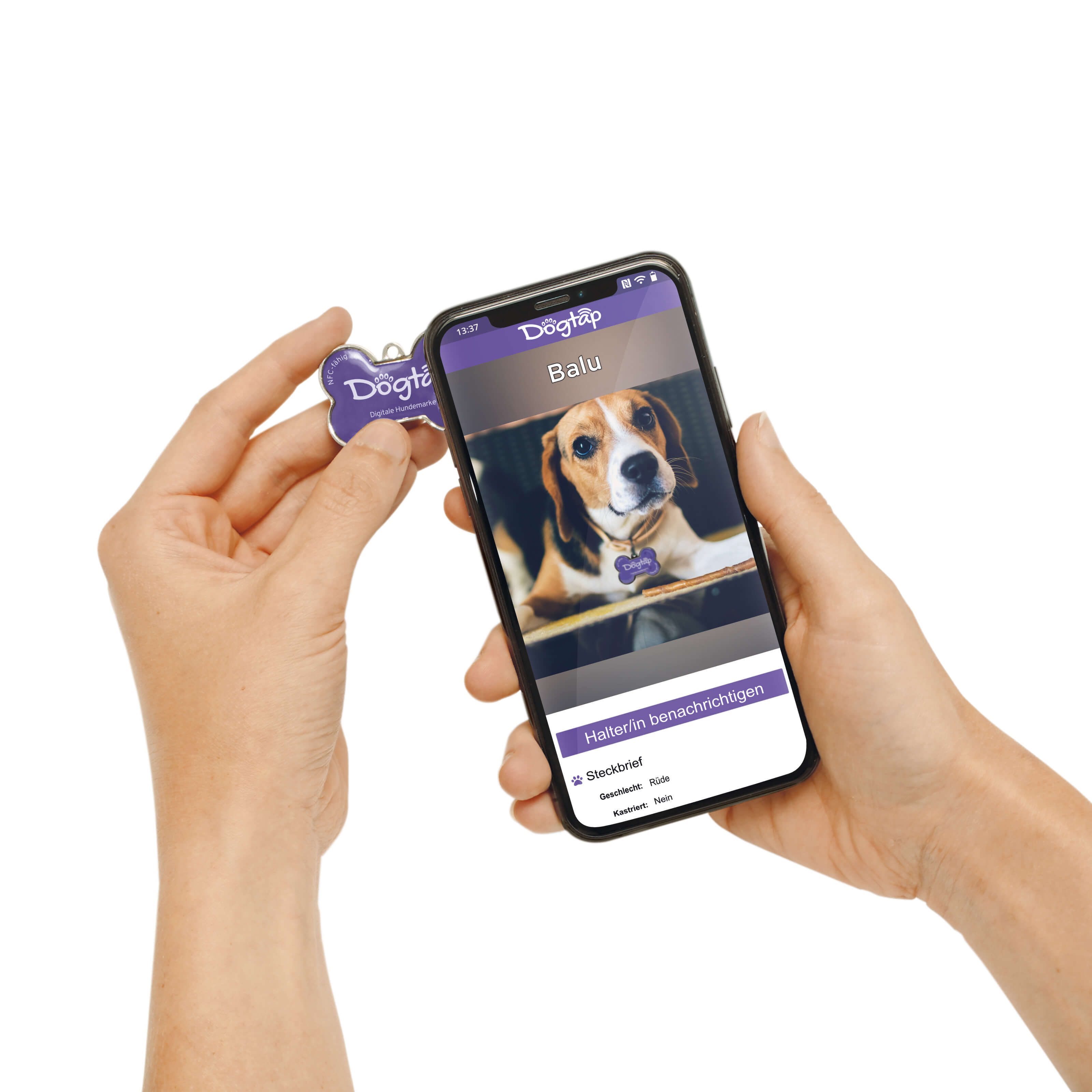 Dogtap Solid - Digital dog tag - PVC / Metal - 41.6 x 28.5 x 4.6 mm - purple